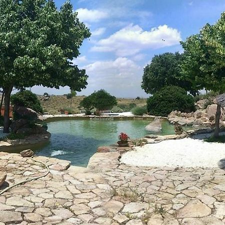 Вілла Finca El Cerco A 5M De Puy Du Fou Y 10M A Casco Antiguo De Toledo Arges Екстер'єр фото