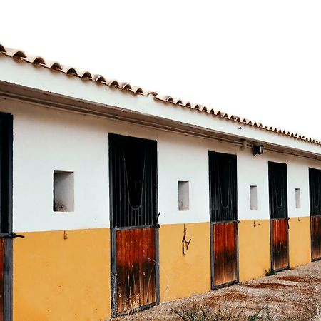 Вілла Finca El Cerco A 5M De Puy Du Fou Y 10M A Casco Antiguo De Toledo Arges Екстер'єр фото
