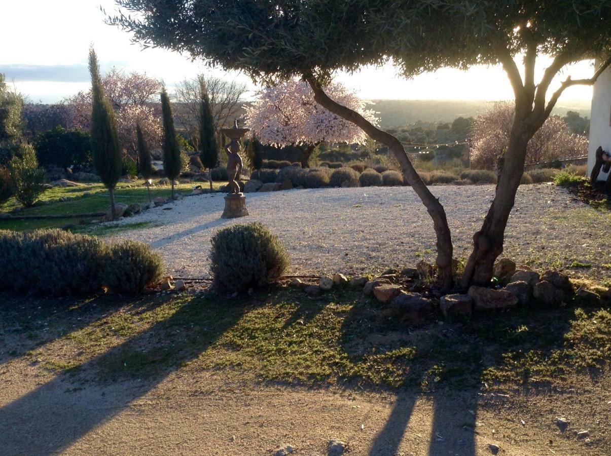 Вілла Finca El Cerco A 5M De Puy Du Fou Y 10M A Casco Antiguo De Toledo Arges Екстер'єр фото