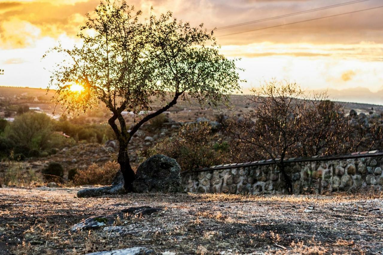 Вілла Finca El Cerco A 5M De Puy Du Fou Y 10M A Casco Antiguo De Toledo Arges Екстер'єр фото