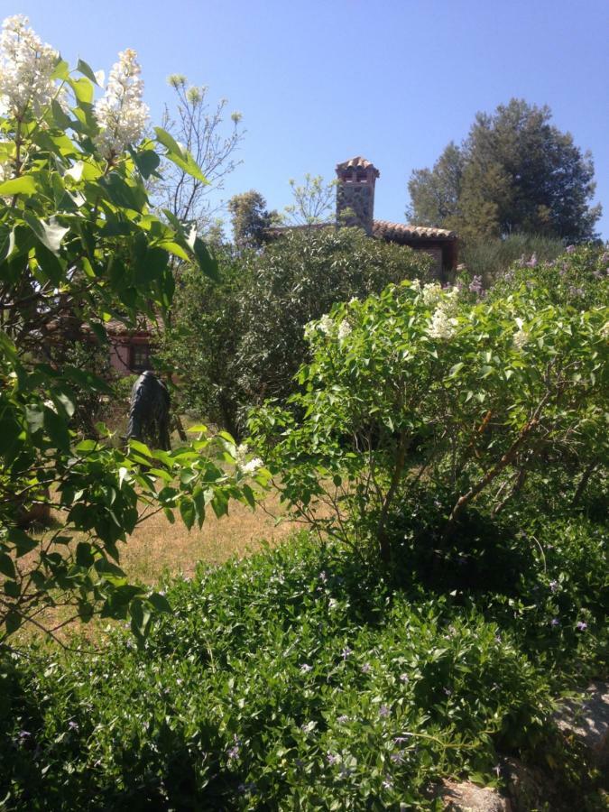 Вілла Finca El Cerco A 5M De Puy Du Fou Y 10M A Casco Antiguo De Toledo Arges Екстер'єр фото