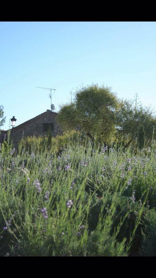 Вілла Finca El Cerco A 5M De Puy Du Fou Y 10M A Casco Antiguo De Toledo Arges Екстер'єр фото