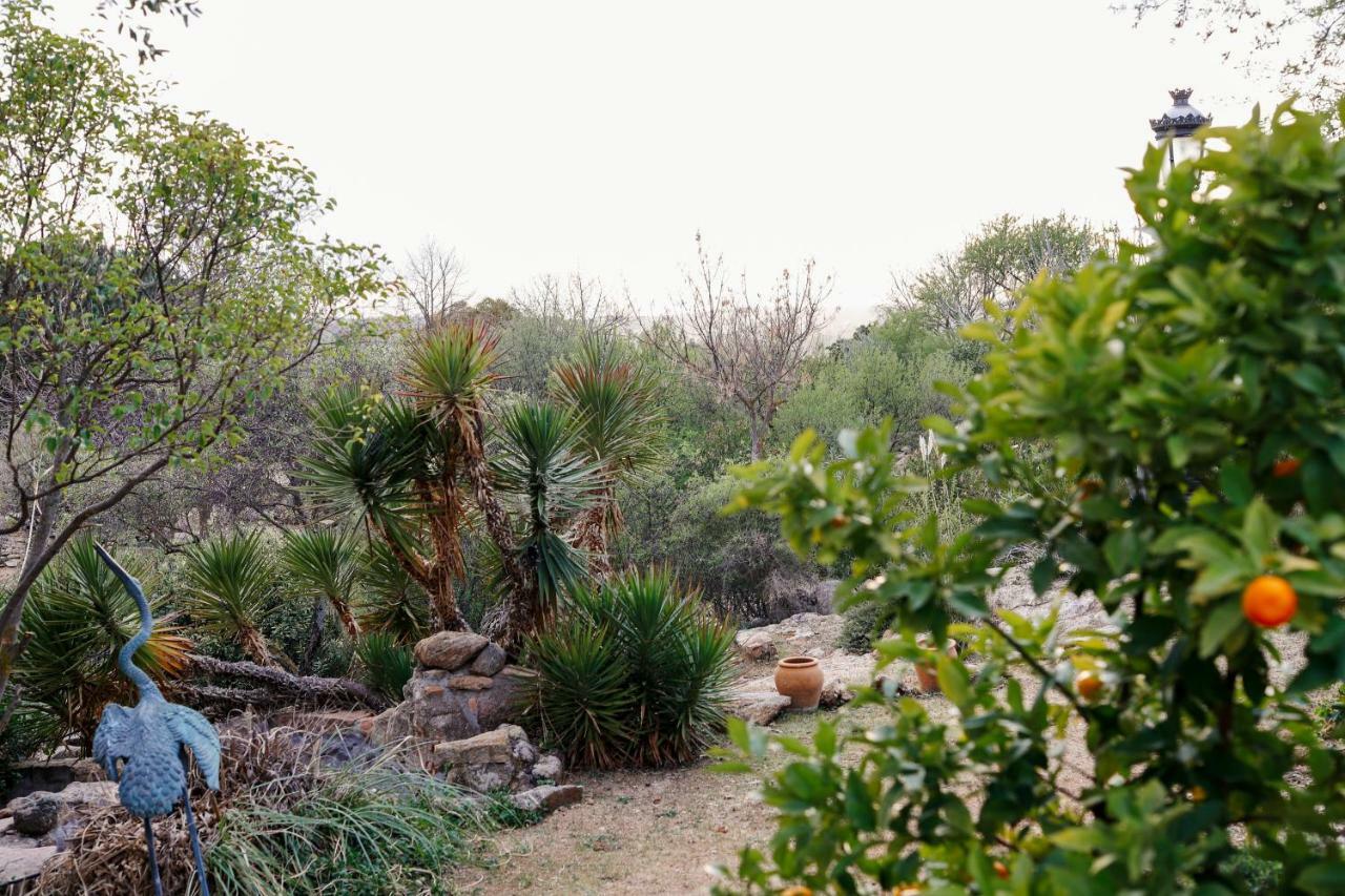 Вілла Finca El Cerco A 5M De Puy Du Fou Y 10M A Casco Antiguo De Toledo Arges Екстер'єр фото
